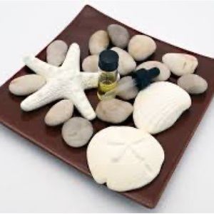 Partylite fragrance accents new